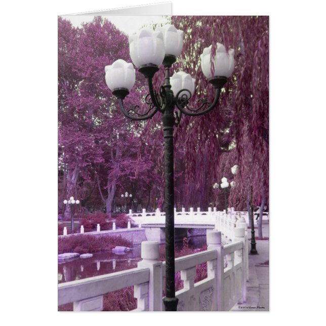 Lampe in Changan Park Card (Vorne)