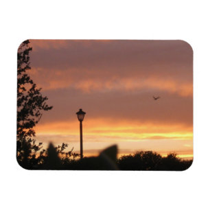 Lampe Post und Vogel Magnet
