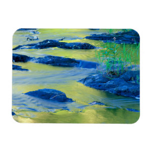 Lamprey River New Hampshire Magnet