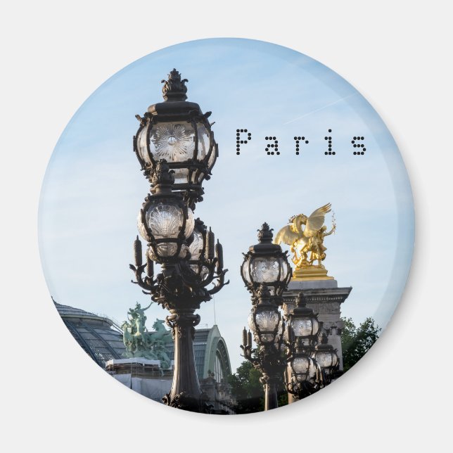 Lamps on Pont Alexandre III - Paris, Frankreich Magnet (Vorne)
