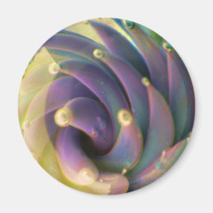 Lampwork Boro Glass Sea Pastell Lotus Bubble Magne Magnet