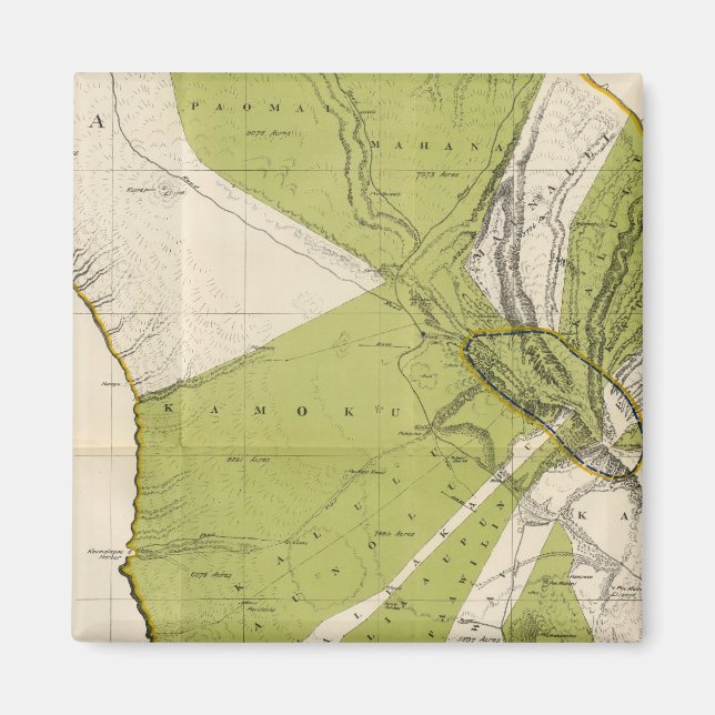 Lanai, Hawaii Magnet (Vorne)