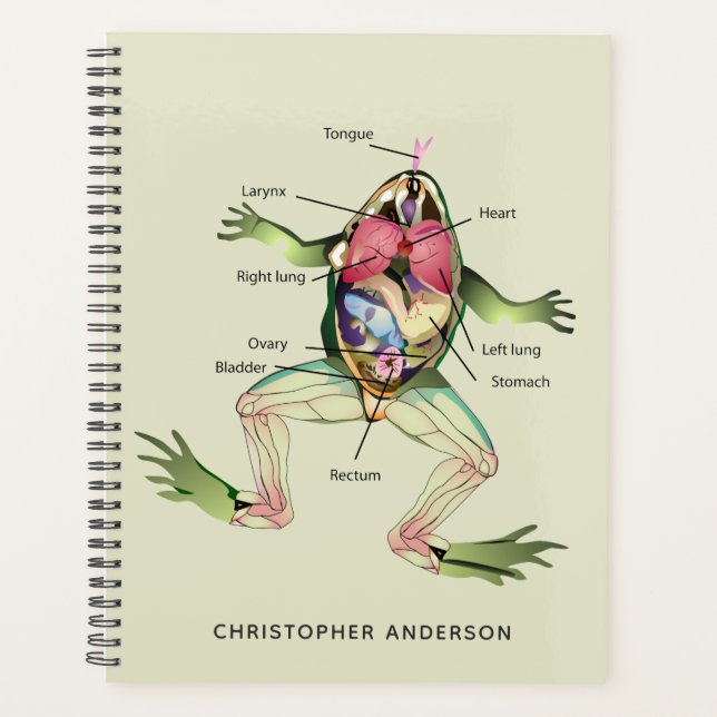 L'anatomie de la grenouille personnalisée (Devant)