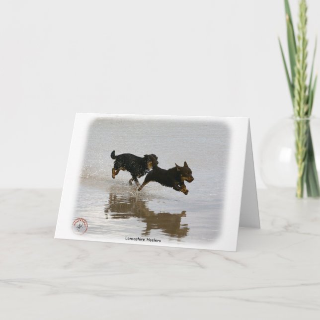 Lancashire Heeler 9R056D-182 Karte (Vorderseite)