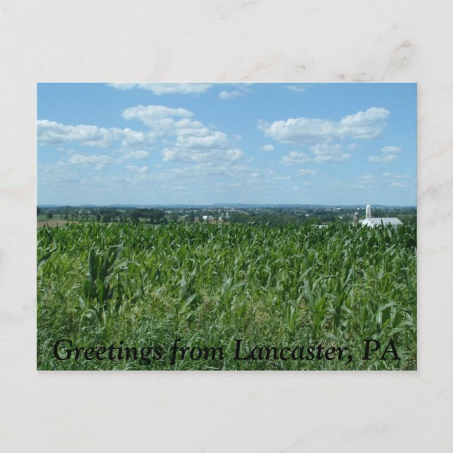 Lancaster field, Greetings from Lancaster, PA Postkarte (Vorderseite)