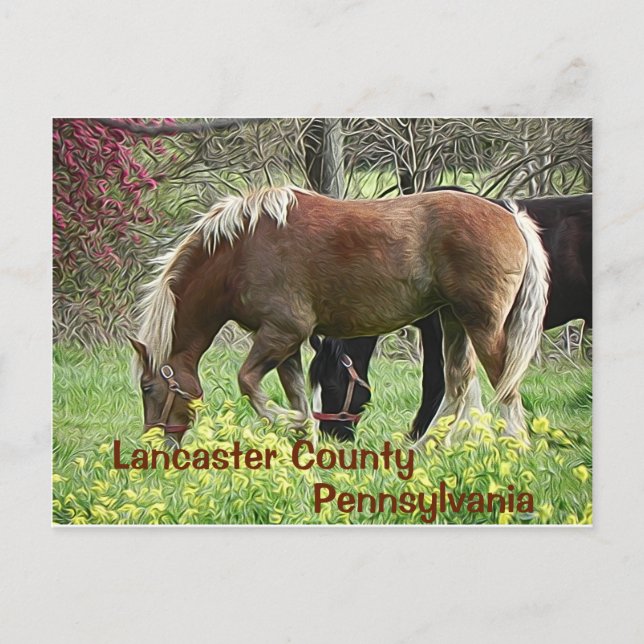 Lancaster Landkreis Pennsylvania - Postkarte (Vorderseite)