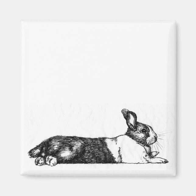 Lance the Unamused Bunneh Magnet (Vorne)