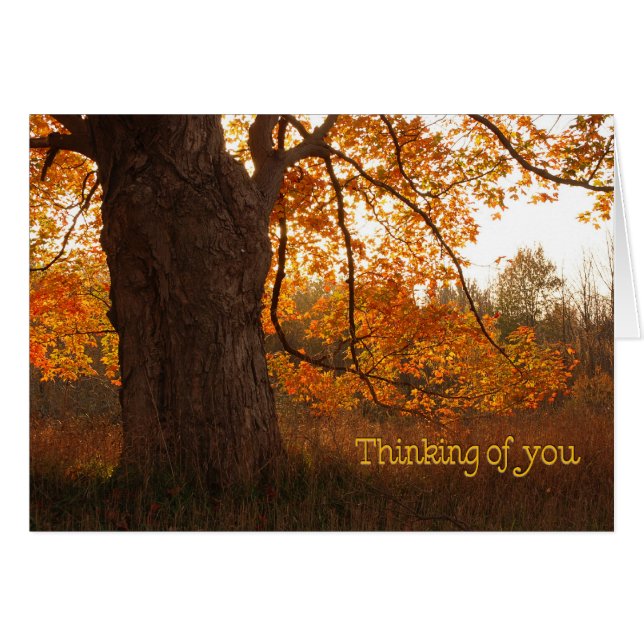 L'Ancien Chêne (Devant horizontal)