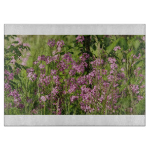 Land 20B Glasschneidebrett Schneidebrett