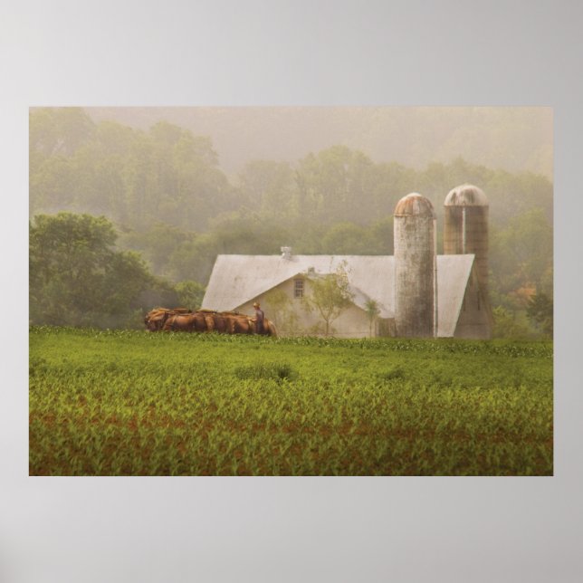 Land - Amish Poster (Vorne)