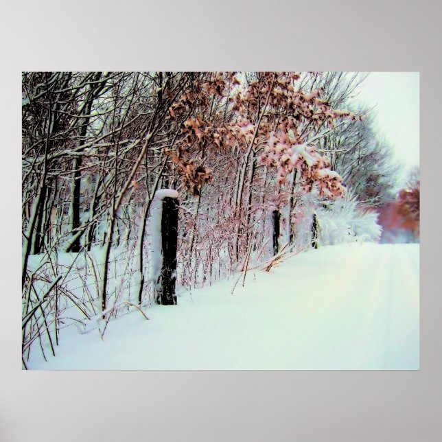 Land Cold Poster (Vorne)