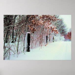 Land Cold Poster