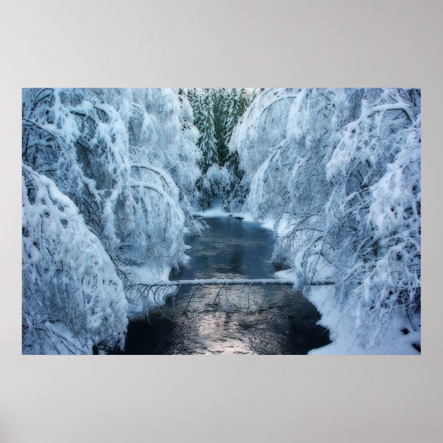 Land der Elfen Poster (Vorne)