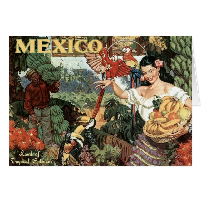 Land der tropischen Pracht (Vorderseite (Horizontal))