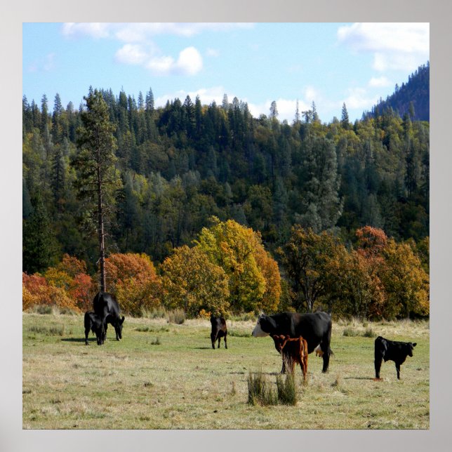 Land im Herbst... Poster (Vorne)