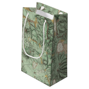 Land-Klassifikations-Karte von Nevada Kleine Geschenktüte
