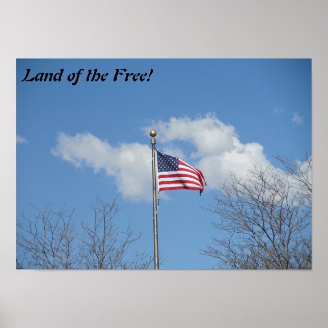Land of the Free flag poster (Vorne)