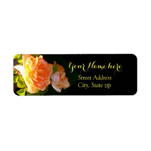 Land Peach-Rose