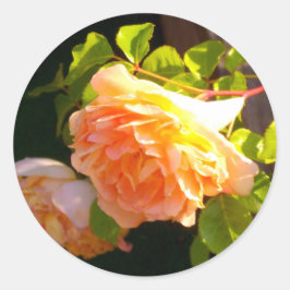 Land Peach-Rose Runder Aufkleber