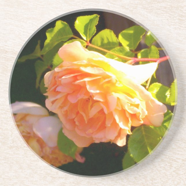Land Peach-Rose Sandstein Untersetzer (Vorne)