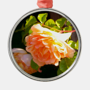 Land Peach-Rose Silbernes Ornament