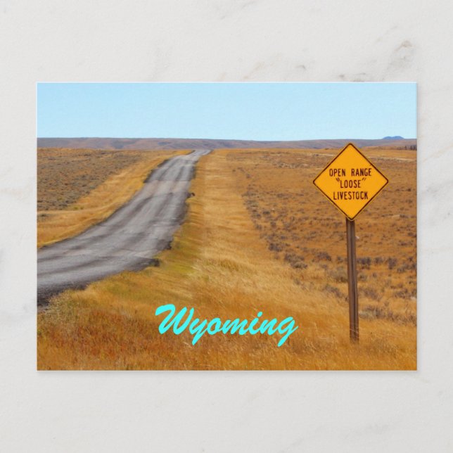 Land Road Open Range Wyoming Postkarte (Vorderseite)