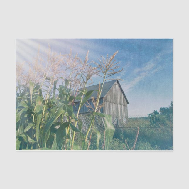 Land Rustikale Barblauer Himmel Sonnenstrahlen Seidenpapier (Vorderseite)