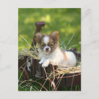 LandBumpkin Postkarte