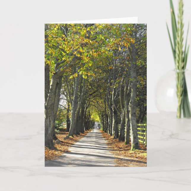 Landebahn in Jersey Feiertagskarte (Vorderseite)