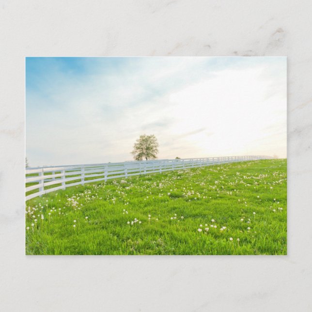 Landfrühlingslandschaft Postkarte (Vorderseite)
