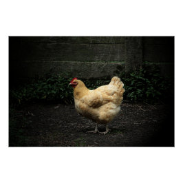 Landhähnchen Poster