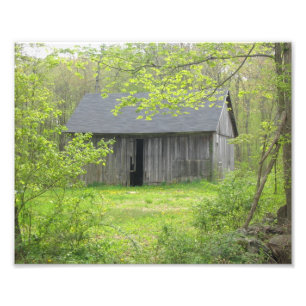 Landhaus im Frühling Fotodruck