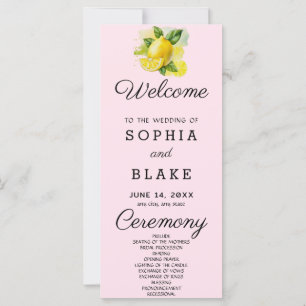 Landhochzeit-Limonen-Grünzeug-Soft-Pink-Hochzeitsp