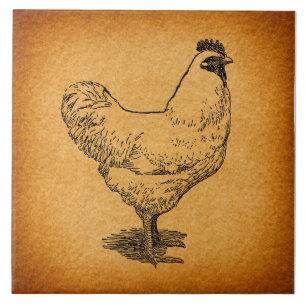 Landhühnerfarm Tierart Vintages Rooster Fliese