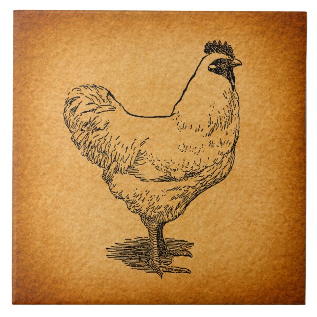 Landhühnerfarm Tierart Vintages Rooster Fliese (Vorderseite)