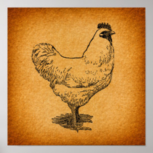 Landhühnerfarm Vintage Tierart Poster