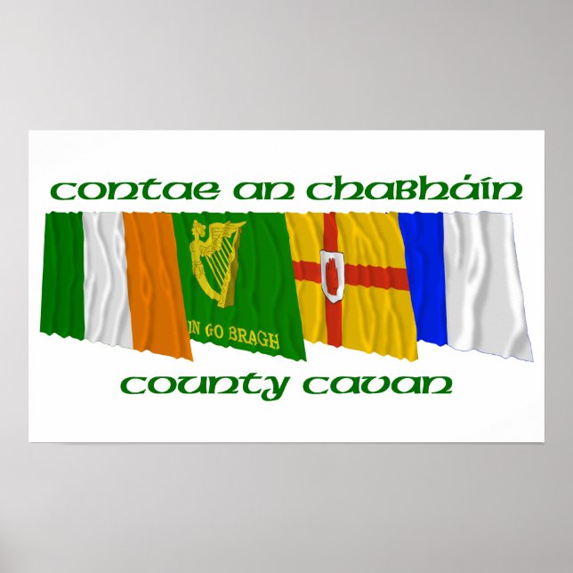 Landkreis Cavan Flags Poster (Vorne)