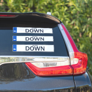 Landkreis-Down-Irish Reg Plate Decal Stickers x 3 Aufkleber