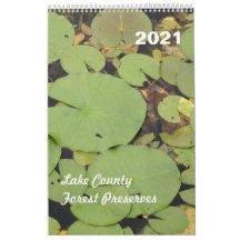 Landkreis Forest Preserve 2021 Single