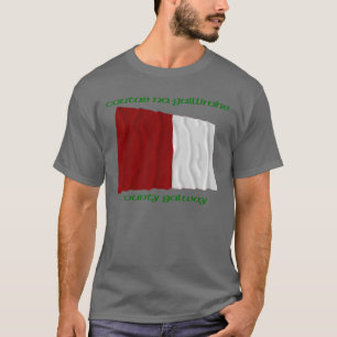 Landkreis-Galway-Farben T-Shirt
