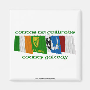 Landkreis-Galway-Flaggen Magnet