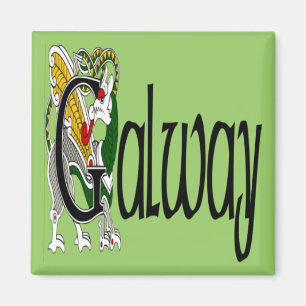 Landkreis-Galway-Magnet Magnet