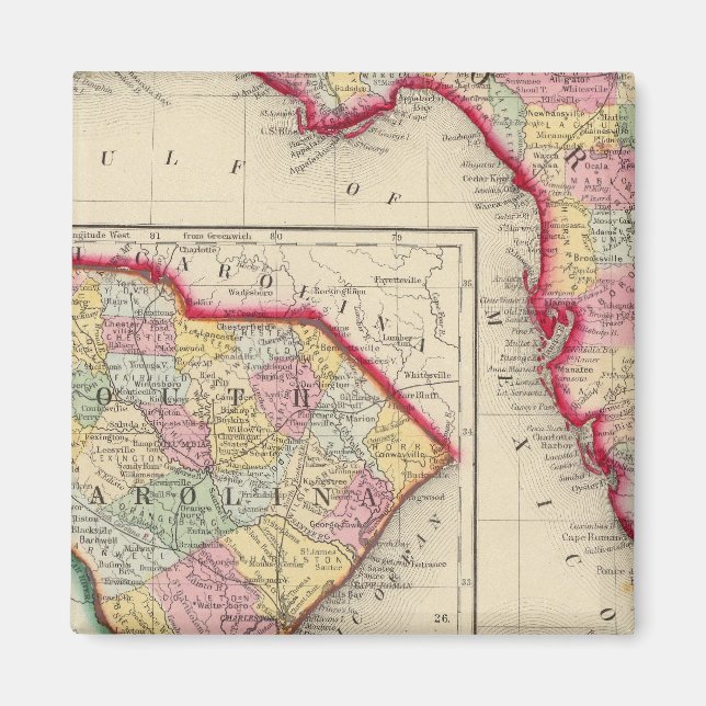 Landkreis Karte von Florida Magnet (Vorne)