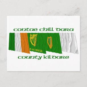 Landkreis Kildare Flags Postkarte