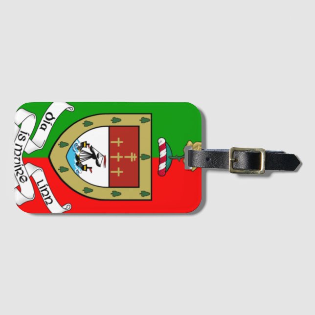 Landkreis Mayo Gepäckanhänger (Vorderseite (Horizontal))
