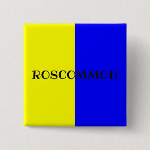 Landkreis Roscommon Flag Abzeichen Button