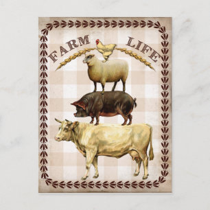 Landleben vintage Country Postkarte