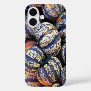 Ländliche gestreifte Kürbisse iPhone 16 Hülle