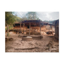 Ländliche Hütte aus Holz mit Tieren, Laos