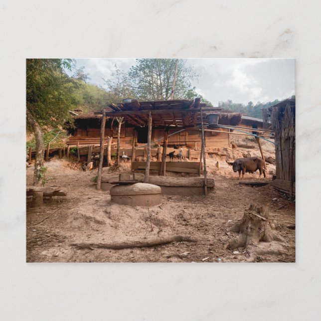 Ländliche Hütte aus Holz mit Tieren, Laos Postkarte (Vorderseite)
